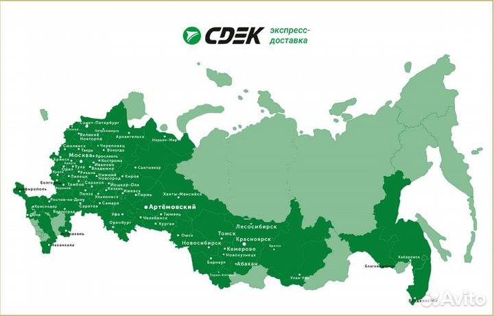 Гортензия «Анабель» древовидная - саженцы зкс