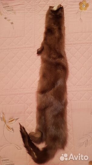 Шкурка норки