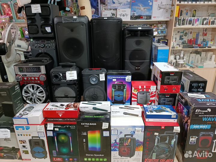 Портативная колонка Eltronic 20-42 Fire Box 220