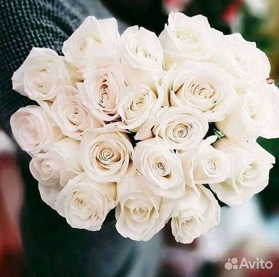 Розы Букеты Цветы Розы 31 101 151 201 Доставка
