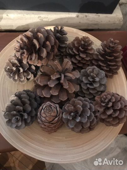 Шишки для декора