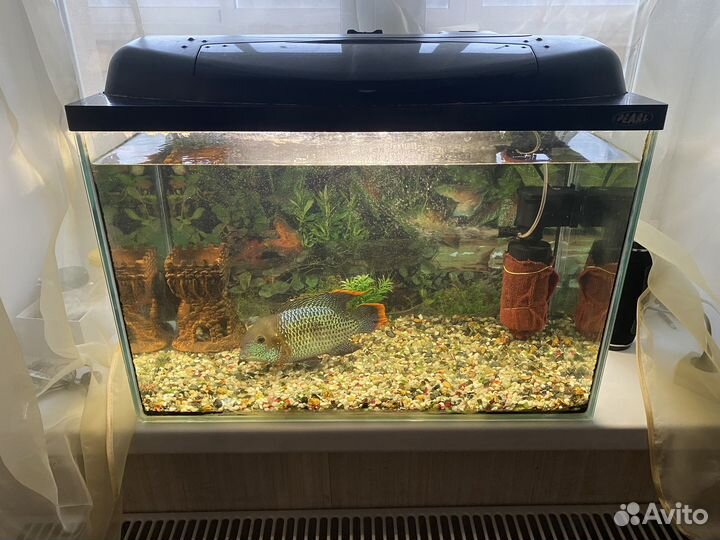 Продам аквариум 110л