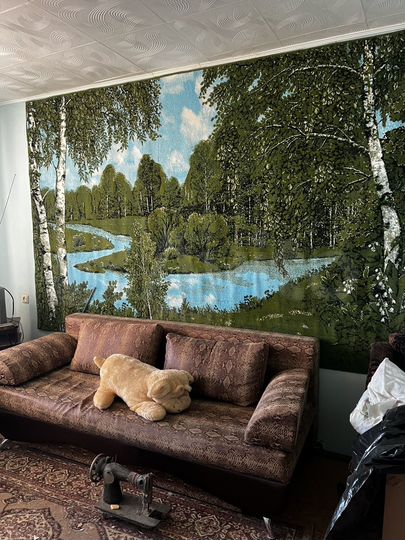 2-к. квартира, 50,9 м², 5/5 эт.