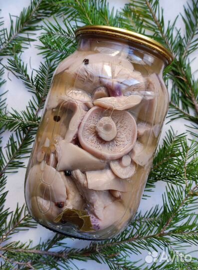 Грибы маринованные