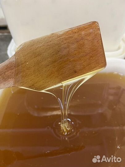 Липа свежая. Мёд натуральный оптом