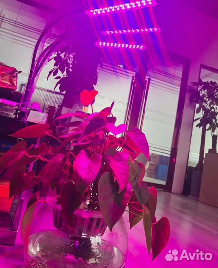 Фитолампа минифермер/ лед/ LED/ полный спектр/ для