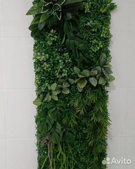 Фитопанно. Фитостена. Фитокартина