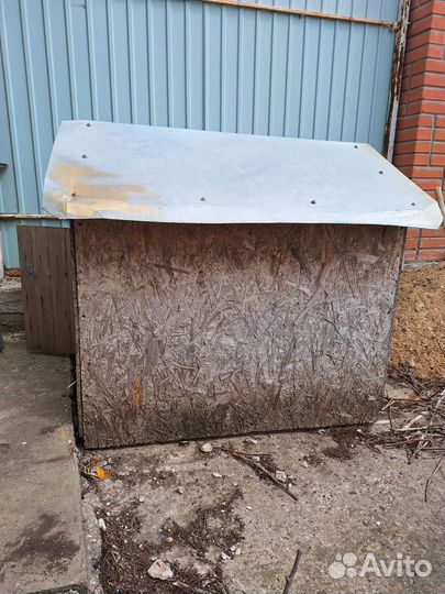 Собачья будка