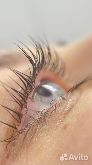 Окрашивание, ламинирование бровей и ресниц