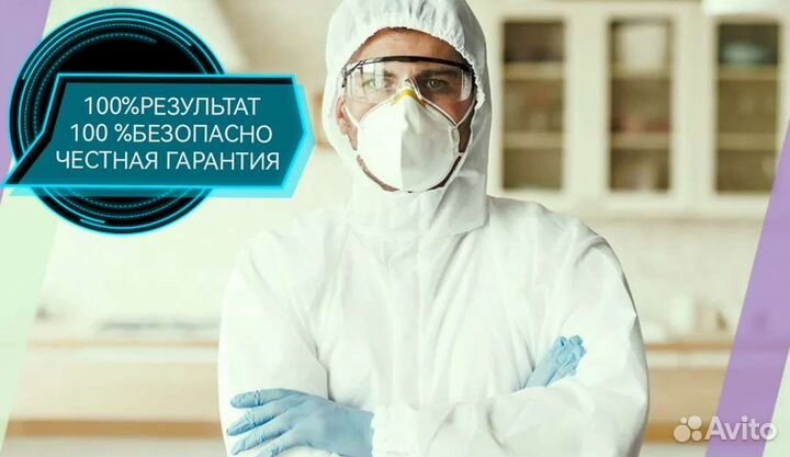 Уничтожение тараканов клопов и грызунов