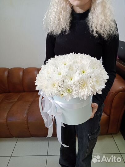 Хризантемы кустовые