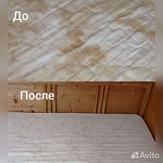 Аренда моющего пылесоса karcher