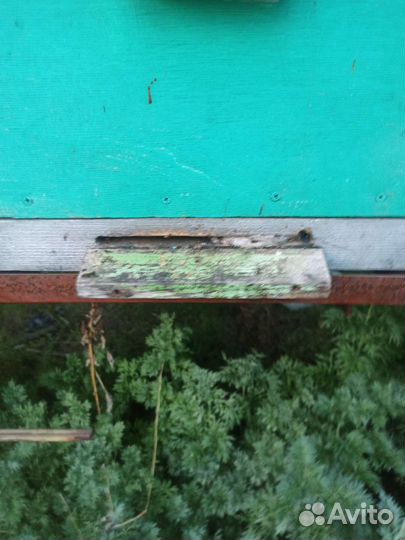 Продам ульи для пчел