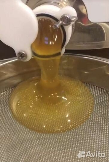 Мед донниковый 2023 (только откачали) с доставкой