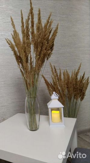 Декоративная трава с вазой