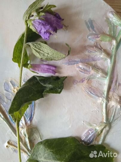 Ботанический барельеф Колокольчики