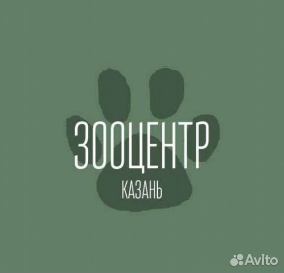 Отловщик собак