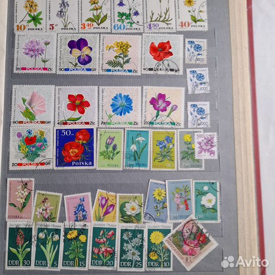 Марки вторая часть альбома