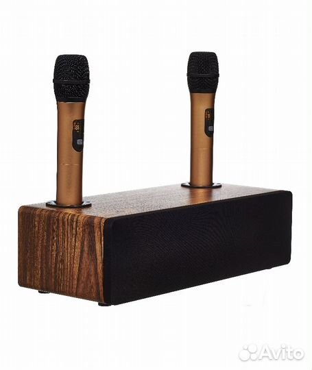 Караоке-система Mojo Pro 2 радио микрофона, 120 Вт