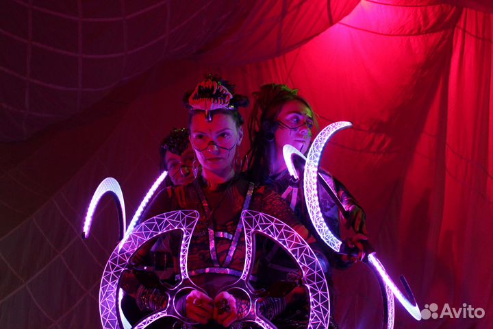 Змеиное шоу на ваш праздник Новый год