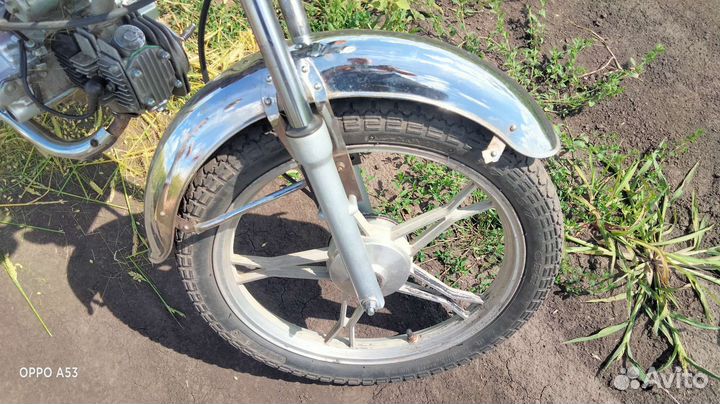 Альфа зверь 110