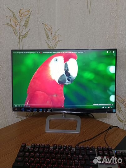 Монитор Philips 24 дюйма