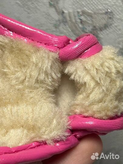 Обувь для собак