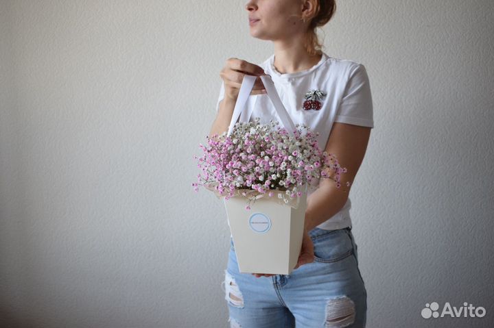 Гипсофила Цветы Букеты Доставка Спб