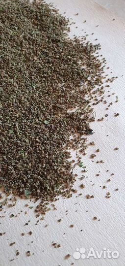 Крапива семена