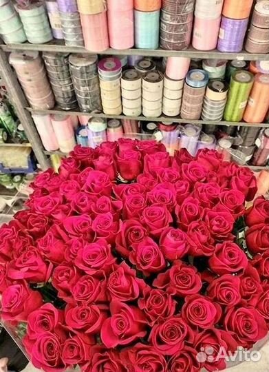 Высокие розы Гигантские розы Доставка цветов