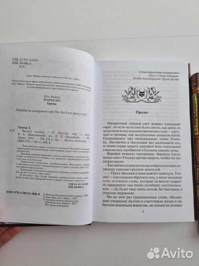 Коты воители. Четвёртый оруженосец. Восход солнца