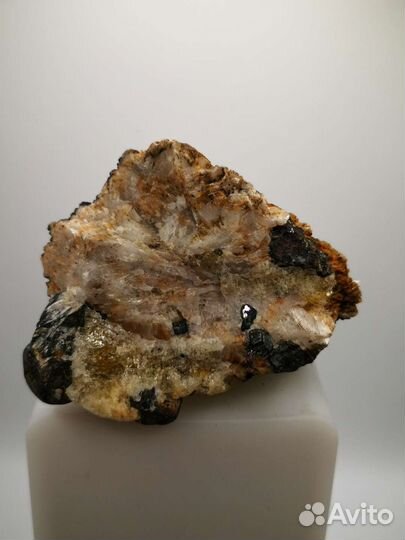 Барит, галенит. Белореченское