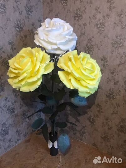 Розы ростовые