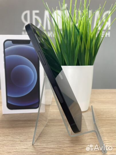 iPhone 12, 256 ГБ