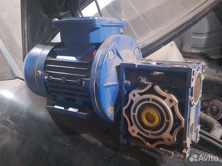 Профелегиб