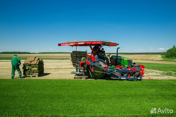 Рулонный газон с укладкой