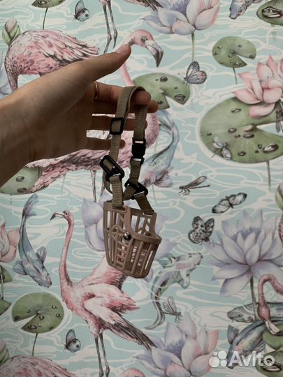 Амуниция для собак