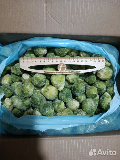 Брюссельская капуста