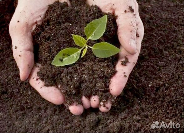 Земля чернозём плодородный грунт. Доставка в срок