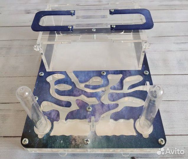 Муравьиная ферма В перми В наличии