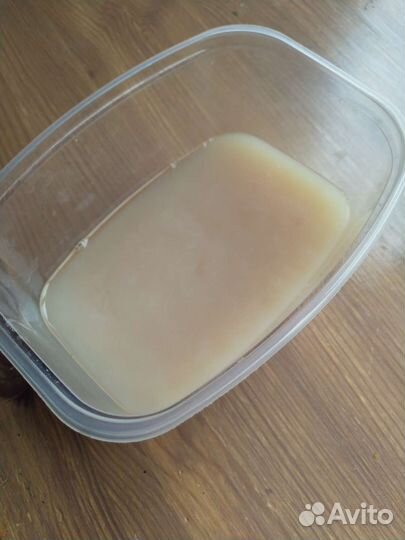 Чайный гриб комбуча