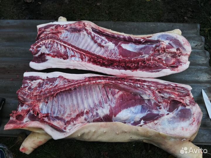 Мясо свинина домашняя