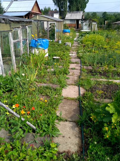 Дача 24 м² на участке 5 сот.