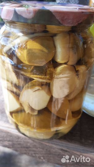 Морошка,черника, белые грибы