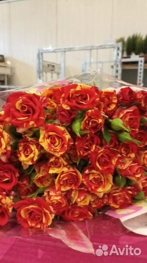 Розы,Хризантемы оптом