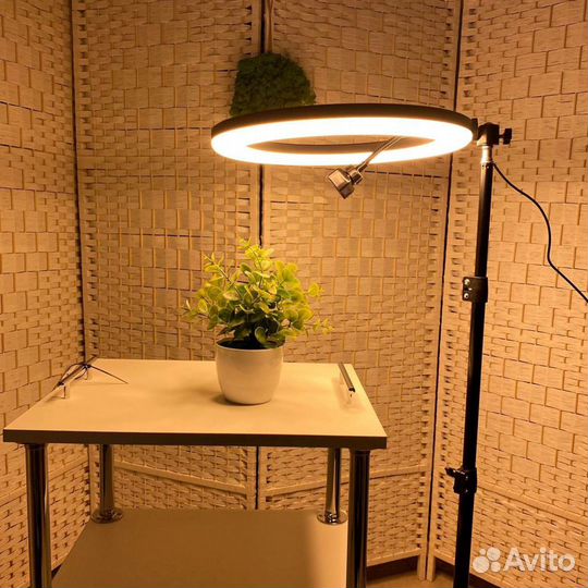 Кольцевая лампа