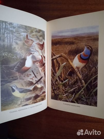 А. Брем Жизнь животных в одном томе 2013г