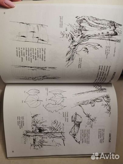 Книги для художников