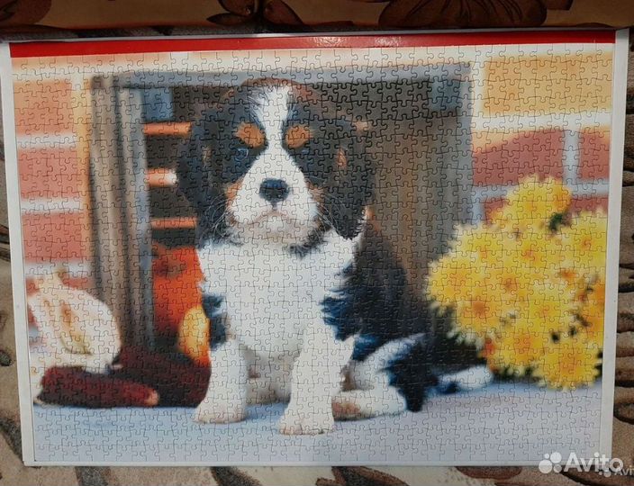 Пазл на 1000 шт. Щенок и цветы