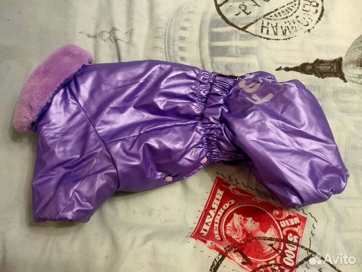 Одежда и обувь для собак средних пород